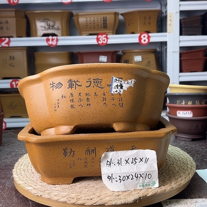 紫砂花盆蛇年大吉