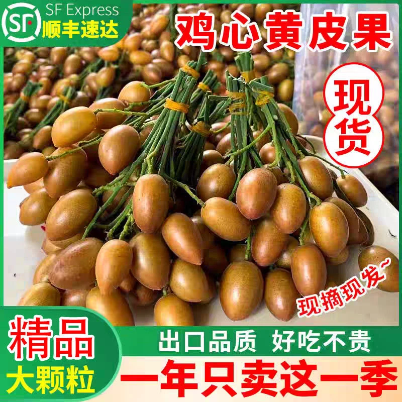 【顺丰冷链】广东鸡心黄皮果当季新鲜采摘孕妇水果无核冰糖黄皮