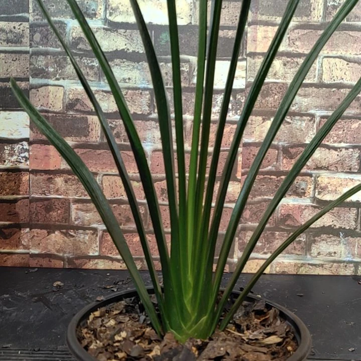 完全开放11111111