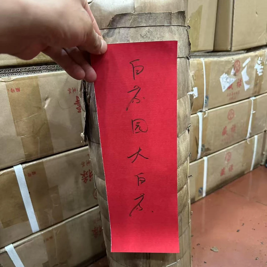 【飞哥开仓放漏】白茶园大白茶柱（白茶）10000g