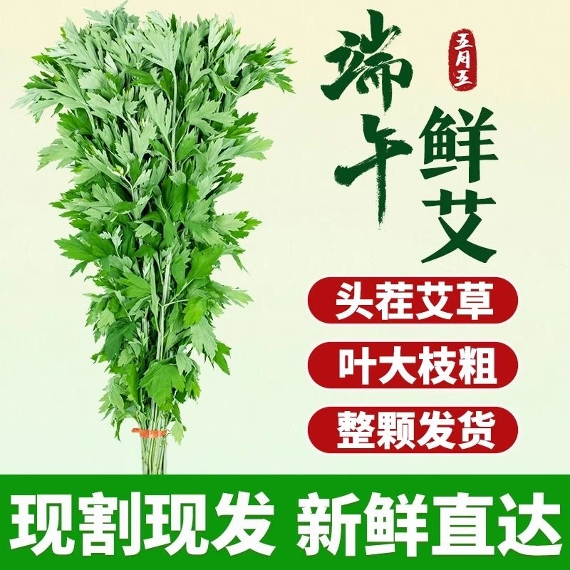 新鲜艾草挂门窗端午节整颗手工艾草花束diy干艾叶挂饰泡脚包泡澡