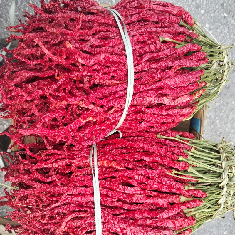 皱皮椒微辣香二荆条辣椒贵州毕节大方特产干辣椒皱椒线椒海椒香辣