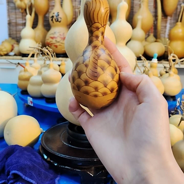 吉**运他他他他他他他他他他