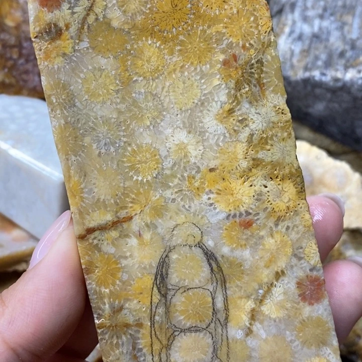 【闪购商品】未镶嵌珊瑚玉硅化玉