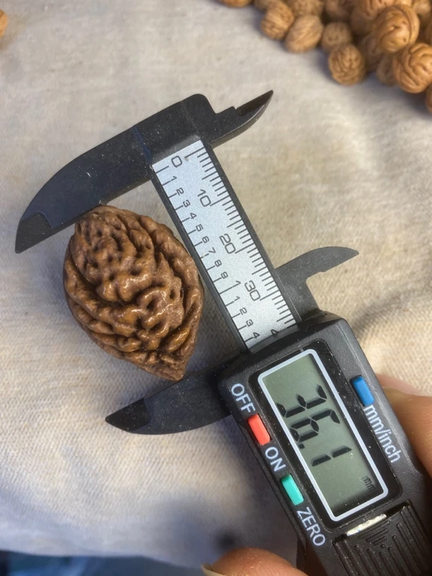 碧桃大尺寸35到37售价野生正月立春采摘枭随形吊坠