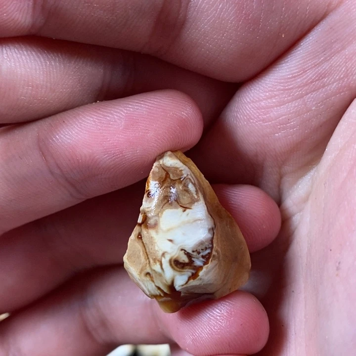 未镶嵌定制琥珀叁*琥珀蜜蜡原石定制
