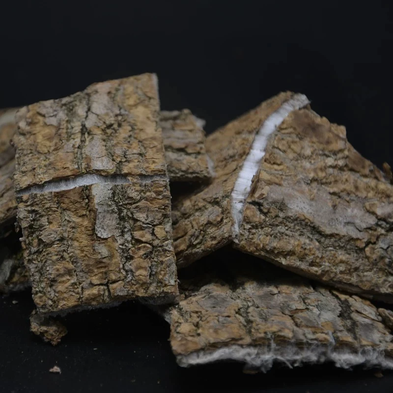 【杜仲】湘西老树杜仲泡酒煮水