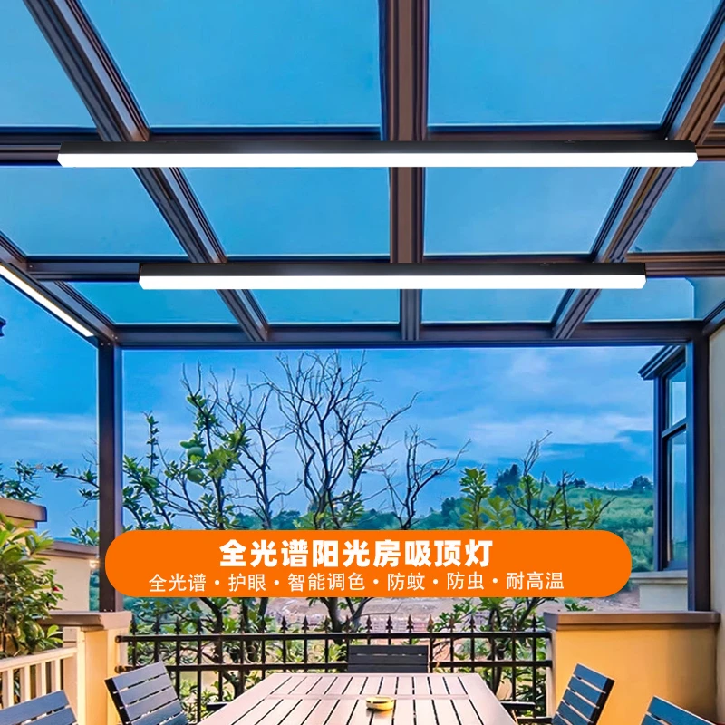 新款长条灯led壁灯阳台露台阳光房专用吸顶灯室外顶灯花园一体灯