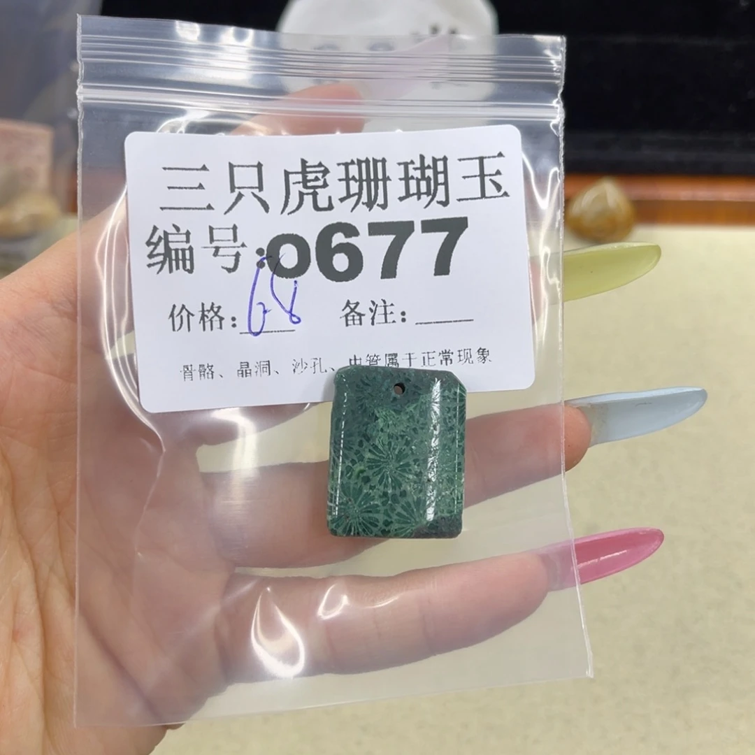 G***.硅化珊瑚（珊瑚玉）h未镶嵌