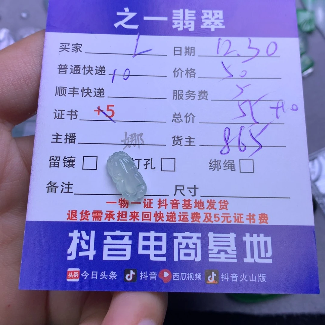 颈饰未镶嵌翡翠L****2