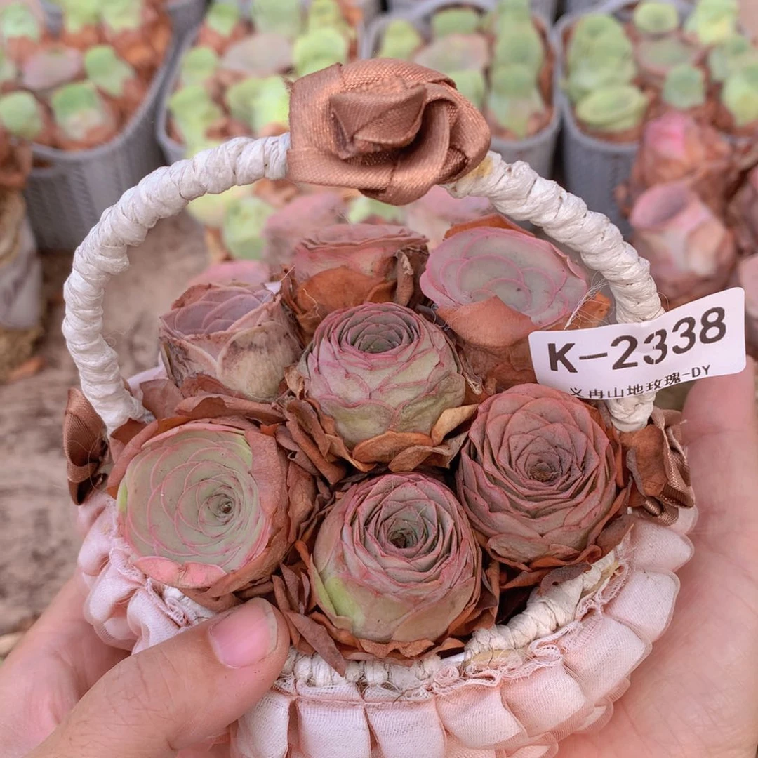 2338小精品带篮子小