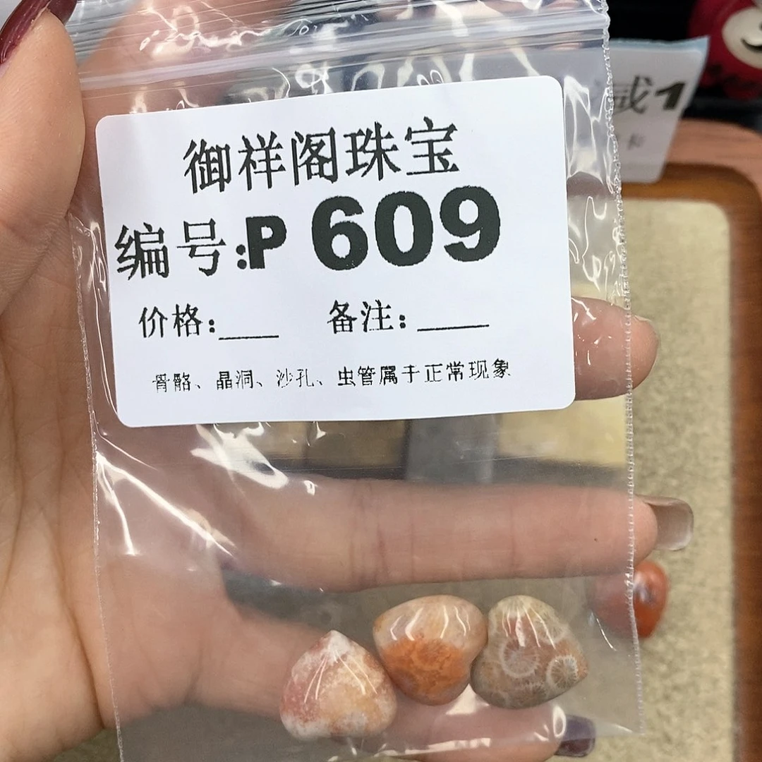 硅化珊瑚（珊瑚玉）P未镶嵌木*