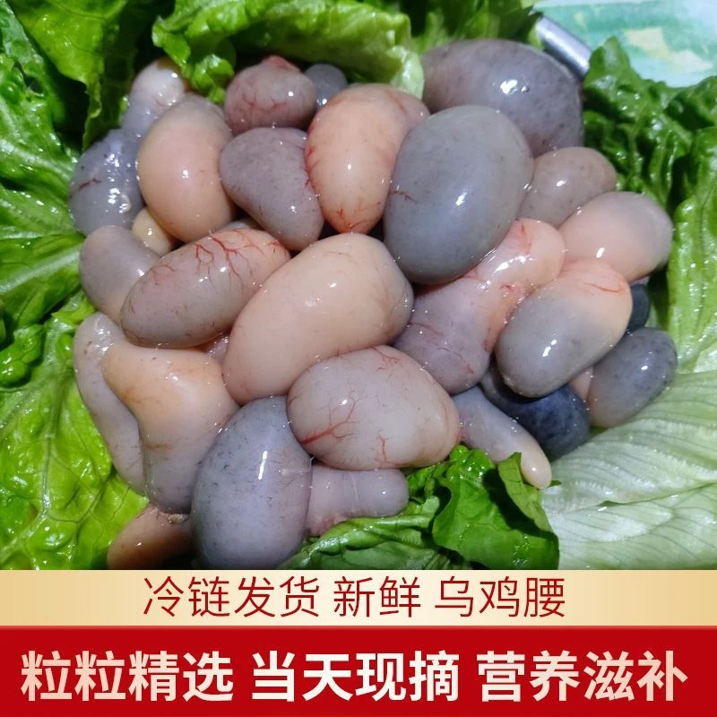 商用1.2.3斤装乌鸡腰 新鲜鸡春鸡宝卵子鸡子公鸡蛋鸡肾鸡腰子