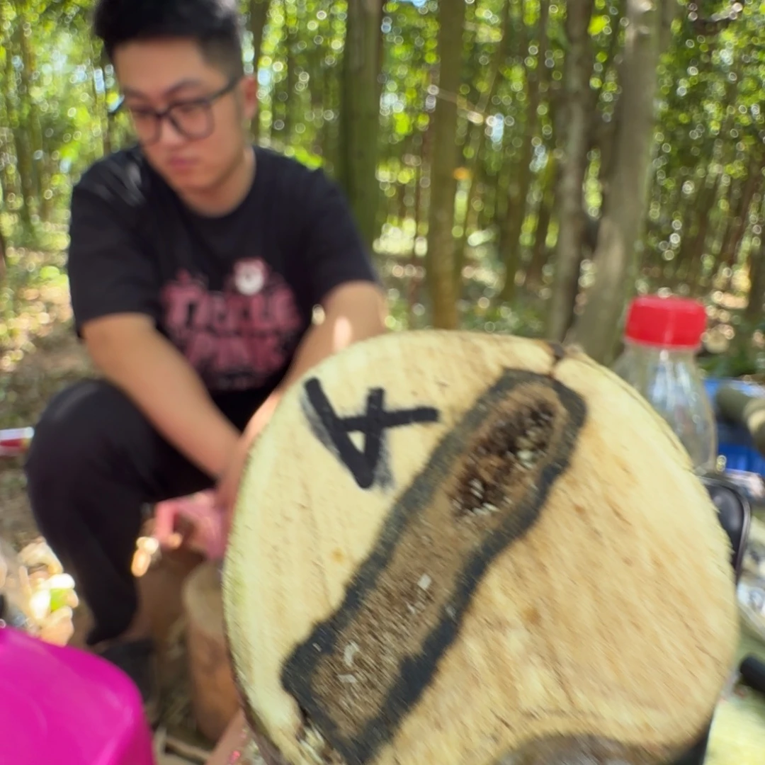 我***姐线香奇楠沉香原木