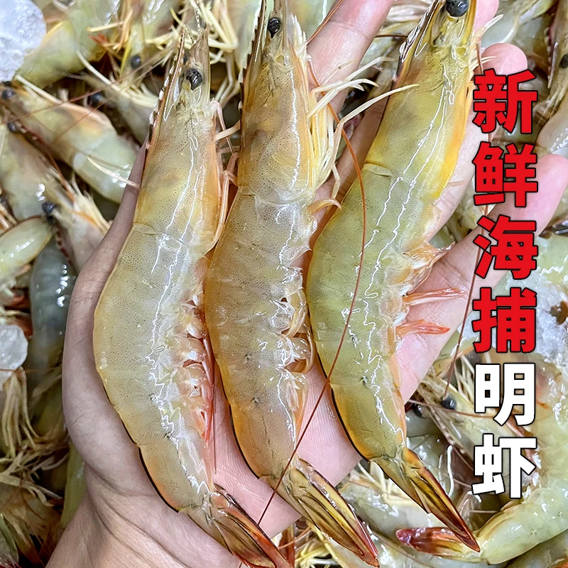 海捕野生明虾 白虾新鲜速冻发货