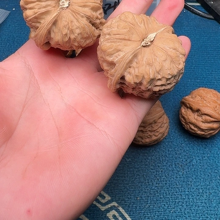 J***y文玩核桃吊坠哈哈哈哈哈哈哈