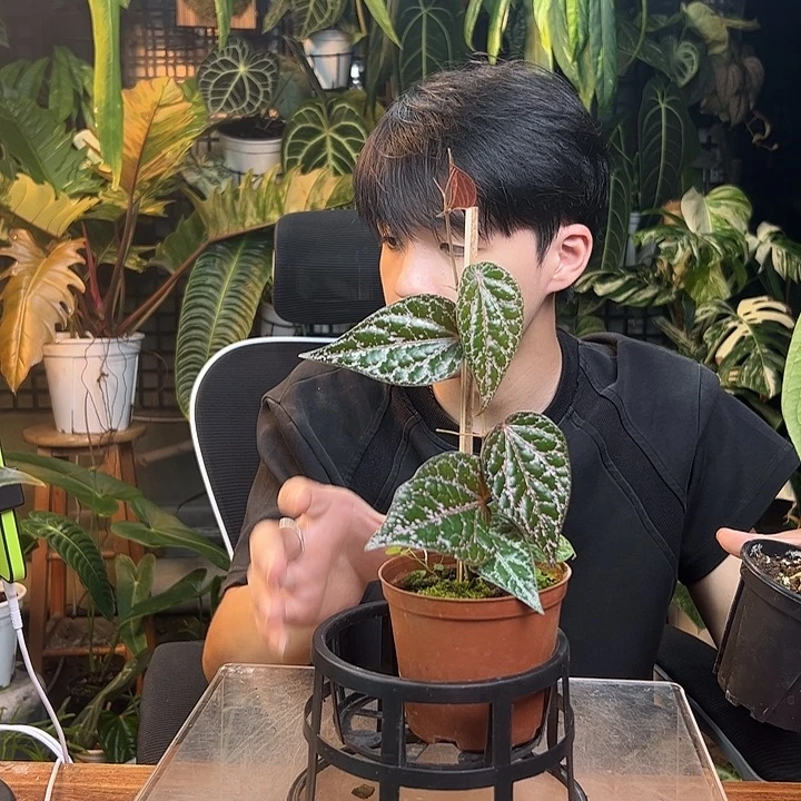l***a完全开放一物一拍Q28