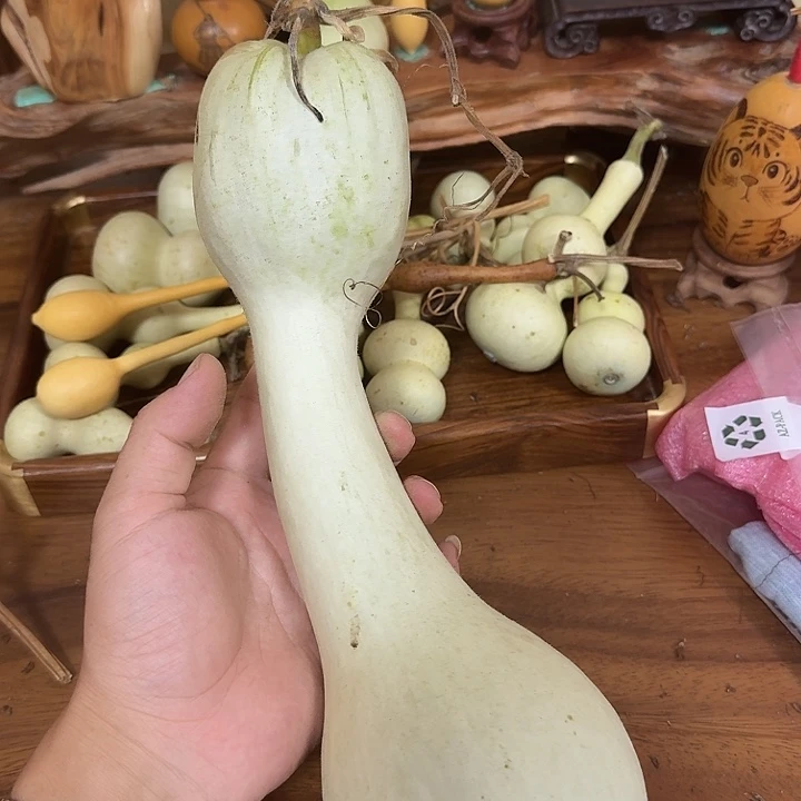 老***妖kgxogxkhcohcoucuocohcouc