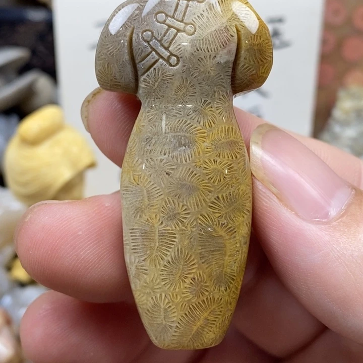 硅化珊瑚（珊瑚玉）未镶嵌颈饰