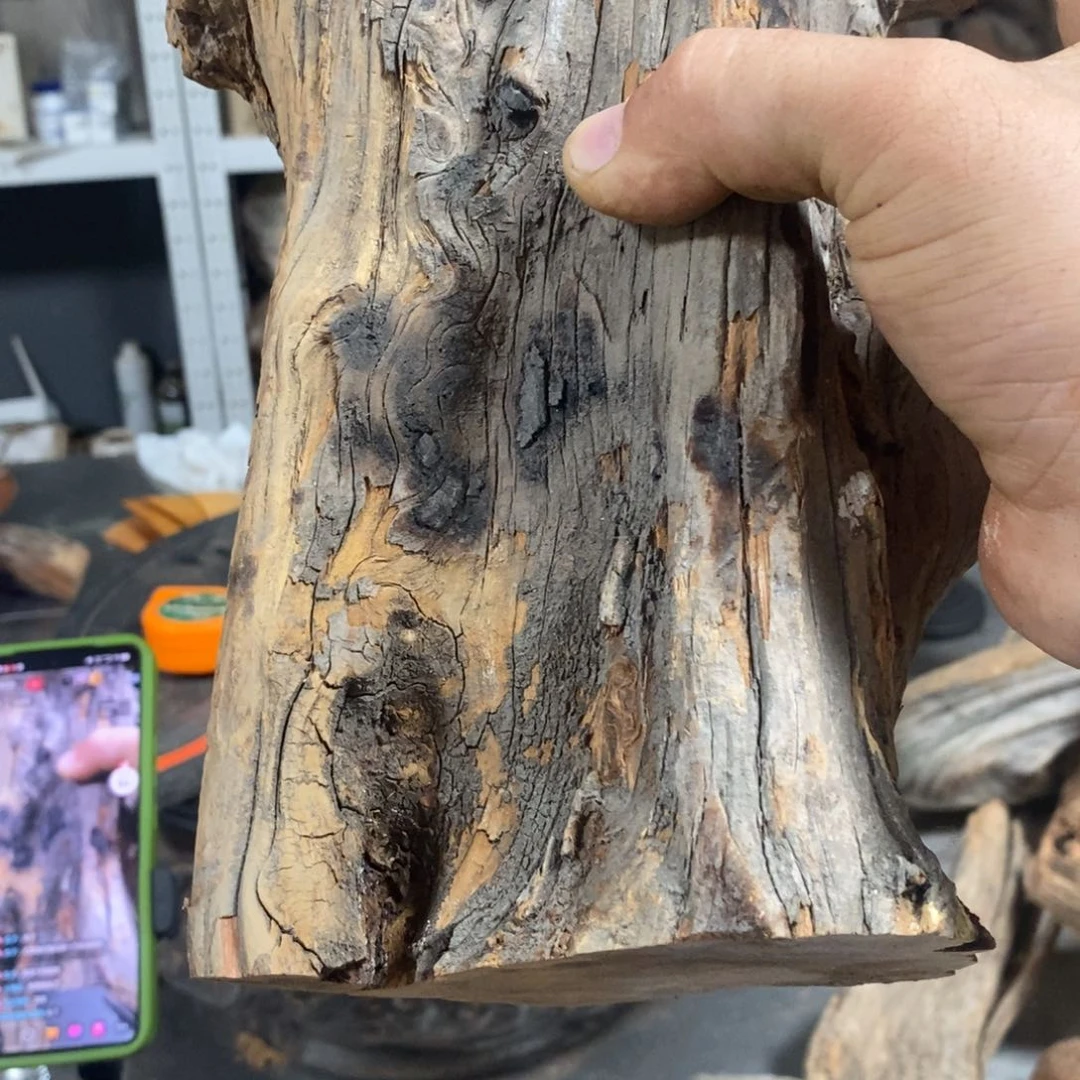 柏木红**踪我们都是好孩子