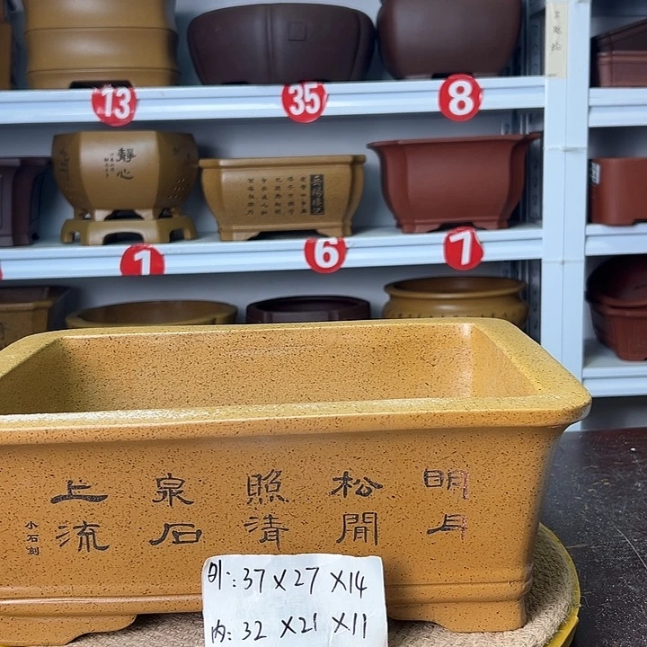花盆紫砂你在一起