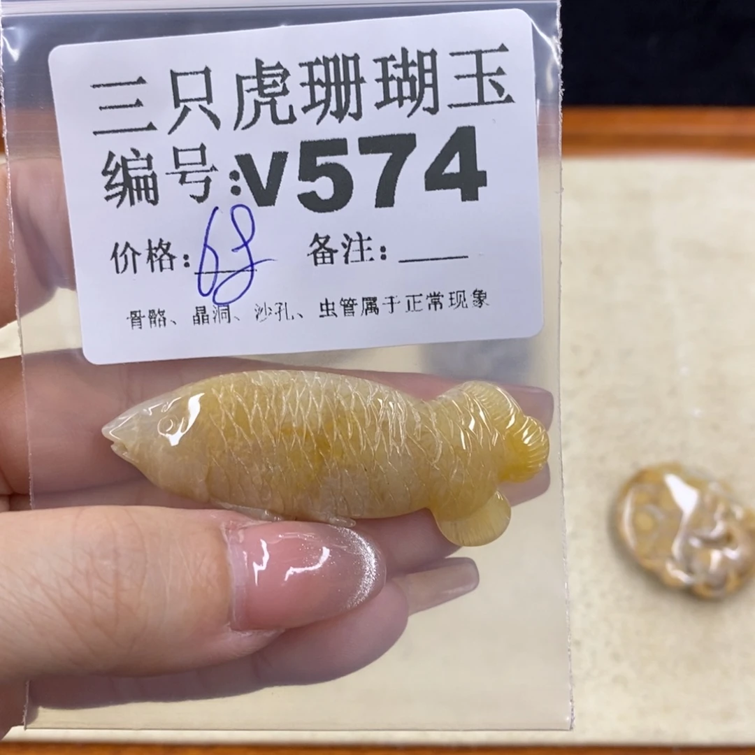 硅化珊瑚（珊瑚玉）未镶嵌1茶*子