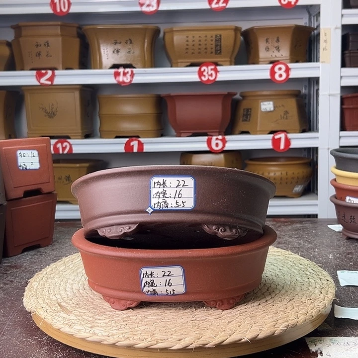 紫砂花盆蛇年大吉