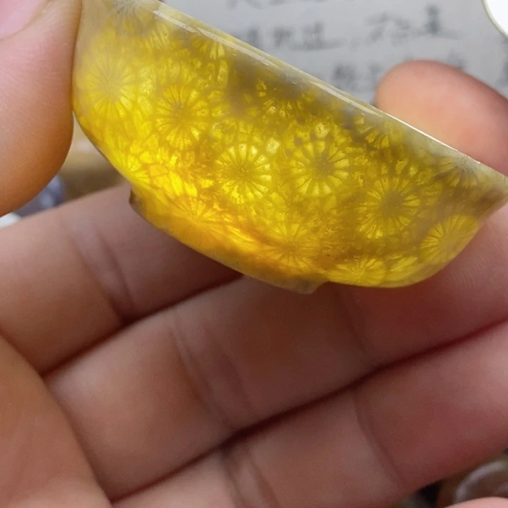 颈饰未镶嵌硅化珊瑚（珊瑚玉）