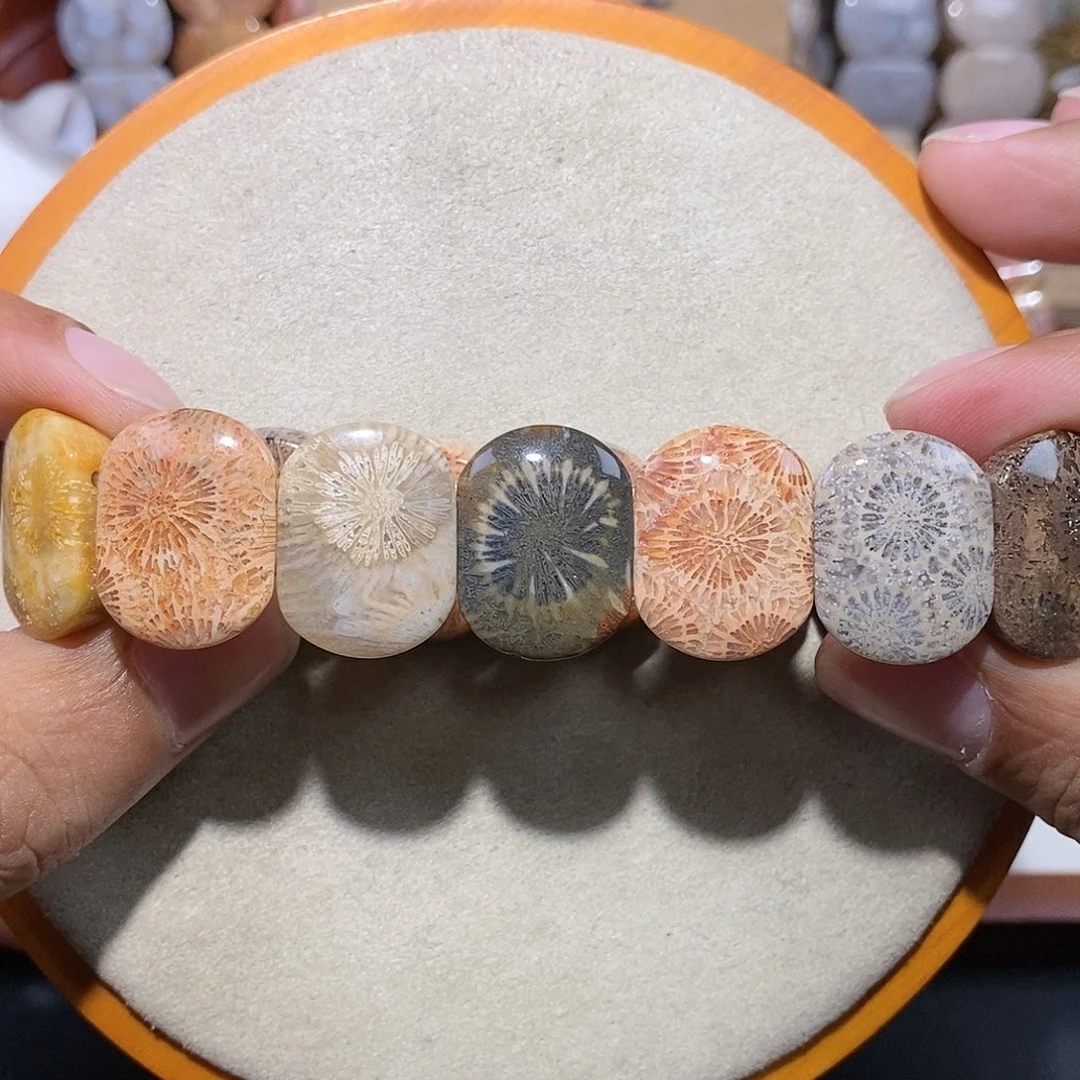 硅化珊瑚（珊瑚玉）手串未镶嵌多宝6