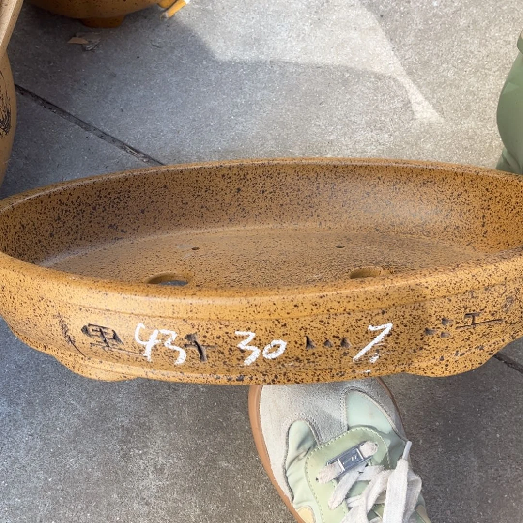 紫砂花盆盆景艺术