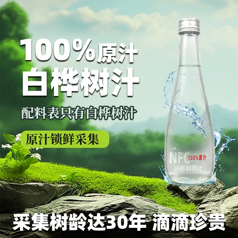 白桦树汁100%原汁原液小兴安岭天然植物饮料桦树水310ml*6瓶