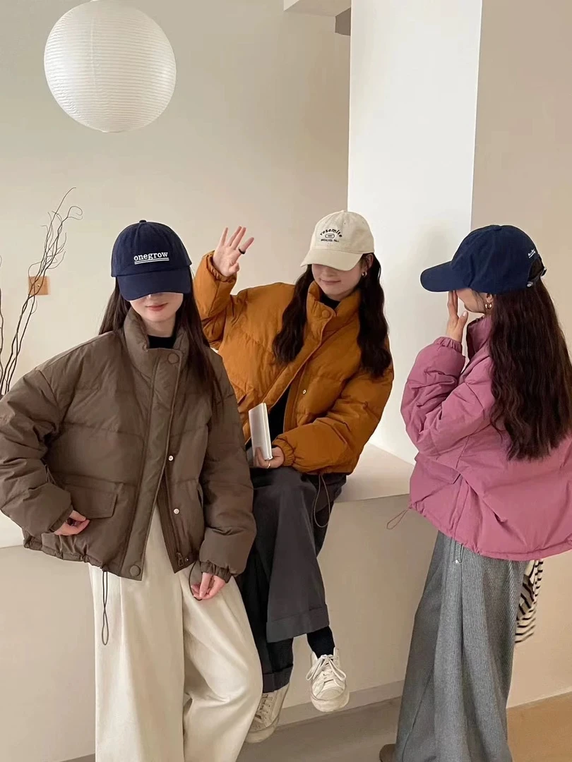 6166韩国东大门冬季新款短款立领羽绒服