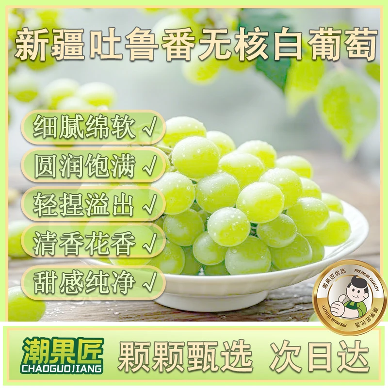 【顺丰明天到】ZXN新疆火焰山吐鲁番核心产区当季皮薄无籽无核白葡萄0.5斤/4.5斤装顺丰到家新疆维吾尔自治区