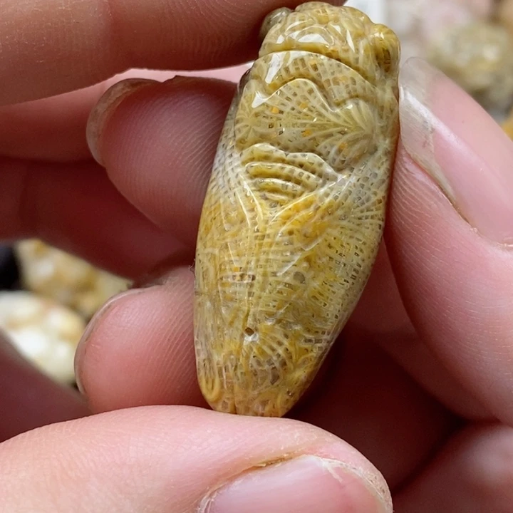 颈饰未镶嵌硅化珊瑚（珊瑚玉）小
