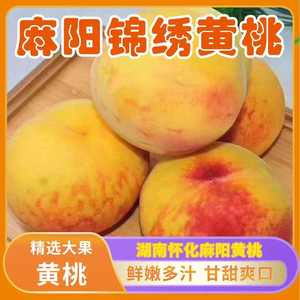 正宗湖南麻阳锦绣黄桃红心应季新鲜水果现摘现发坏果包赔