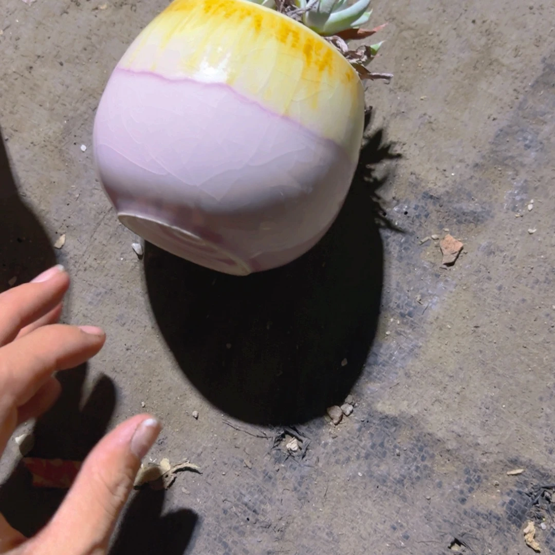 浩***雪小粉新疆包邮新疆包邮