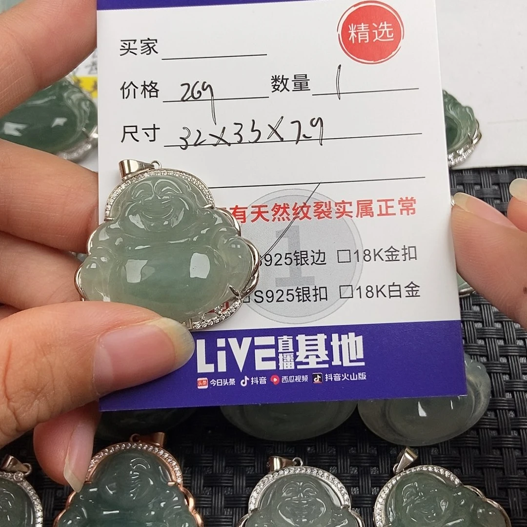 翡翠银S925镶嵌颈饰