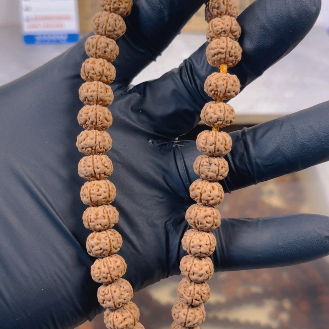 金刚菩提手串恋*鱼纯血老树王11