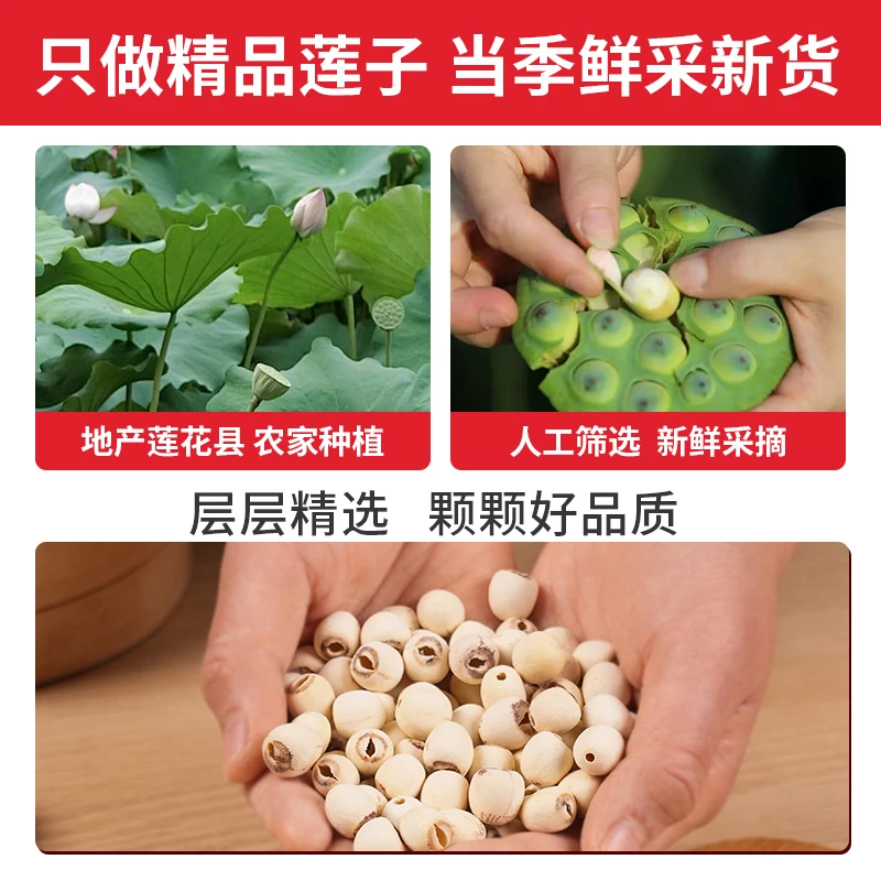 莲小花莲子磨皮白莲子无芯500g江西莲花特产银耳百合羹粥料干货