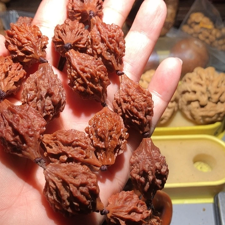 橄榄核吊坠异型刺猬橄榄手持
