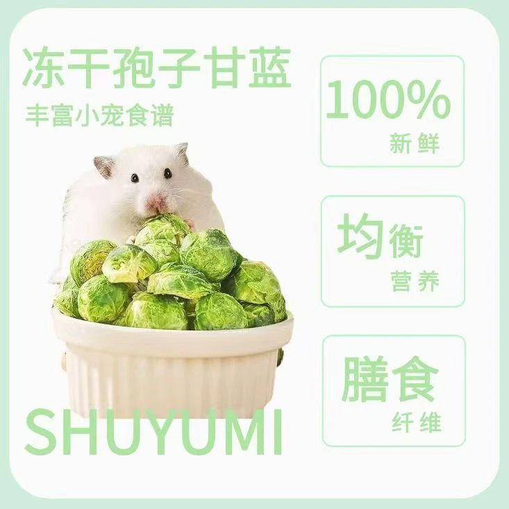 仓鼠金丝熊零食孢子甘蓝冻干磨牙棒花枝鼠龙猫饲料