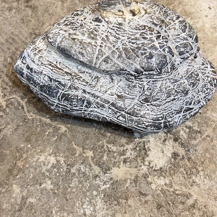 林***鸟无花朵家具制造企业
