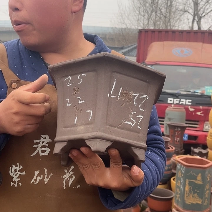 紫砂紫砂花盆盆栽