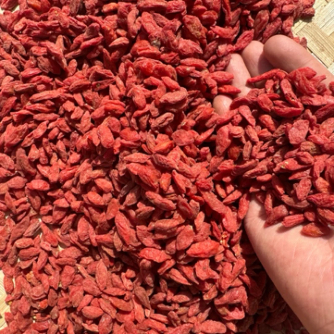 城口大巴山枸杞