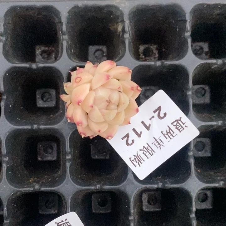 92-112的的的的的