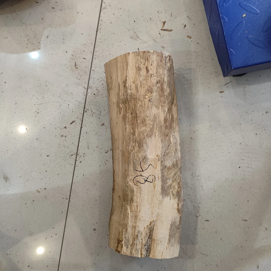 湖北珍珠黄杨木老料