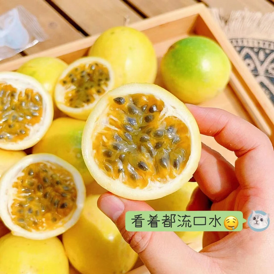 【海南百香果钦蜜9号】黄金百香果九甜一酸应季小孩孕妇水果顺丰发