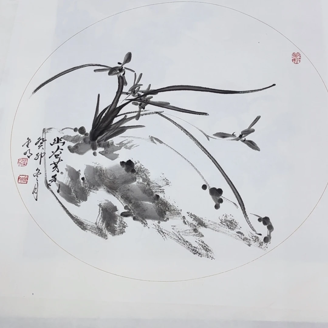国画50直径花鸟艺