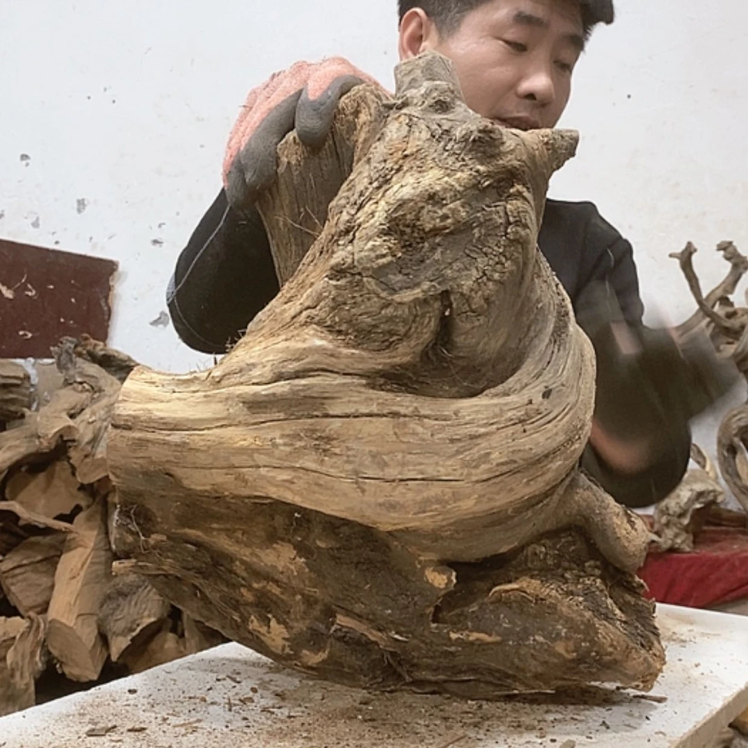 【闪购商品】柏木7*7我们都是好孩子