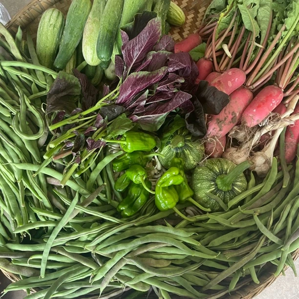 重庆农家应季蔬菜拼单正宗土家新鲜蔬菜拼包3斤5斤包邮